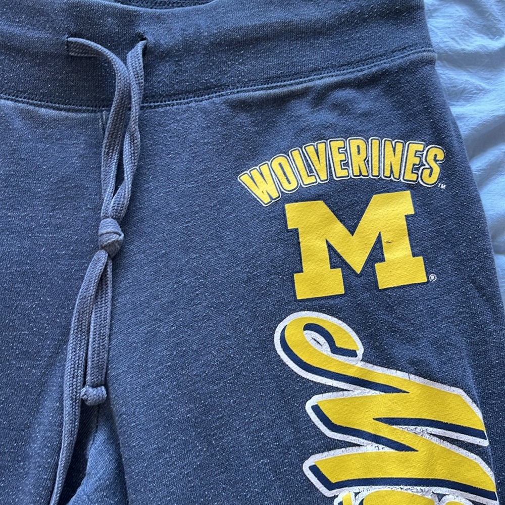Michigan Sweatpants - Picture 2 of 3